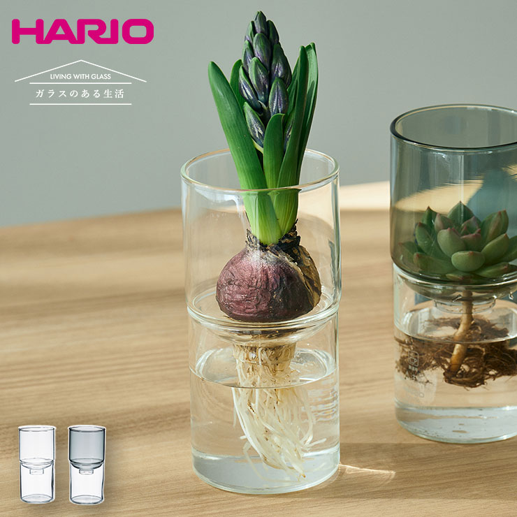 ハリオ ガラスのある生活 ガラスの花器 HARIO 【 フラワーベース ガラス 花器 花瓶 一輪挿し 水耕栽培 耐熱ガラス 食洗機対応 】