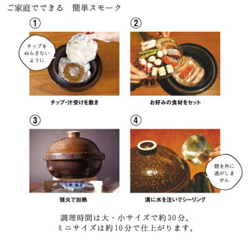 長谷園 いぶしぎん 大 NW-24 長谷製陶 金網3枚/陶敷板/チップ100g/レシピ付き【燻製土鍋/燻製器/家庭用/直火専用/伊賀焼/陶器/送料無料/あす楽】