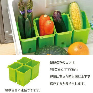 野菜スタンドケース　連結式　4個セット　スケーター【冷蔵庫内/収納/保存/野菜ストッカー/収納グッズ/キッチン収納/日本製/あす楽】