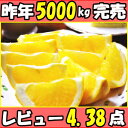 食べきりサイズが人気!秀・優混合!和歌山 八朔10kgSサイ...