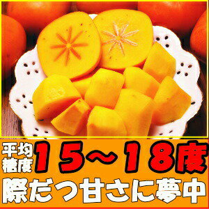 柿 訳あり 種なし柿 奈良 西吉野 柳澤果樹園 たねなし柿 4kg＋増量約1kg 計約 5kg 15〜25玉 家庭用 送料無料 種無し柿送料無料 刀根柿 平種柿 とね柿 ひらたね柿 平核無柿