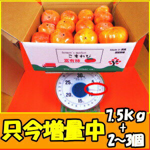 種なし柿