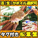 活(生)かボイル選択可!日付指定可!鳥取産 活松葉ガニタグ付き1尾550?650g×1尾 松葉ガニ 松葉がに 松葉カニ マツバガニ 松葉蟹 松葉ガニ タグ付 松葉 まつばがに マツバ(盛紋丸)はコチラ