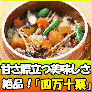 四万十栗
