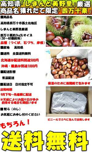 四万十栗