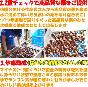 四万十栗