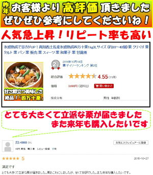 四万十栗
