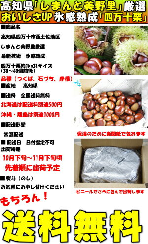 四万十栗