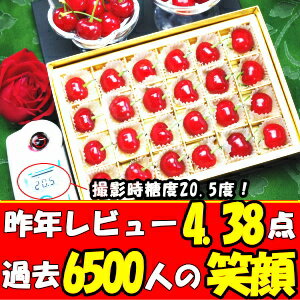 2016年さくらんぼグルメ大賞!東京某高級スーパーが惚れ込む味と品質!山形産畑の宝箱24粒2L〜L(大)さくらんぼ送料無料母の日さくらんぼ佐藤錦さくらんぼ母の日さくらんぼギフト母の日プレゼント母の日ギフト【楽ギフ_メッセ】さくらんぼ母の日
