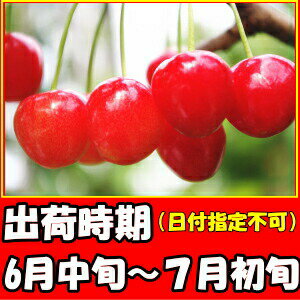 さくらんぼ 訳あり 佐藤錦 紅秀峰 送料無料 山形 寒河江 サクランボ わけあり L- M サイズ 1kg 家庭用 東京某高級店も認めるさくらんぼ