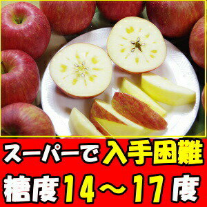 りんご 蜜入り 訳あり ふじ サンふじ 糖度 減農薬 エコファーマー わけあり 完熟 蜜 リンゴ サンフジ 山形 太田農園 蜜入りりんご 5kg 12〜23玉 家庭用 送料無料