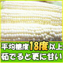 とうもろこし ピュアホワイト 御中元 甘い ギフト 送料無料 生で食べれる 白いとうもろこし プレゼント 糖度18～19度 香川 三豊産 白 トウモロコシ 2L-Mサイズ 10本-13本 プレゼント ギフト 食品 食べ物 内祝 父の日 2024 6月 7月 2