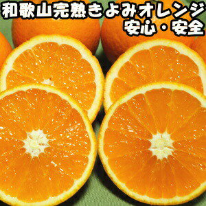 清見 訳あり きよみ 和歌山 有田 完熟 清見オレンジ 5kg 家庭用 送料無料 甘い 糖度 清見タンゴール みかん 5kg 箱 買い お取り寄せ 清美オレンジ