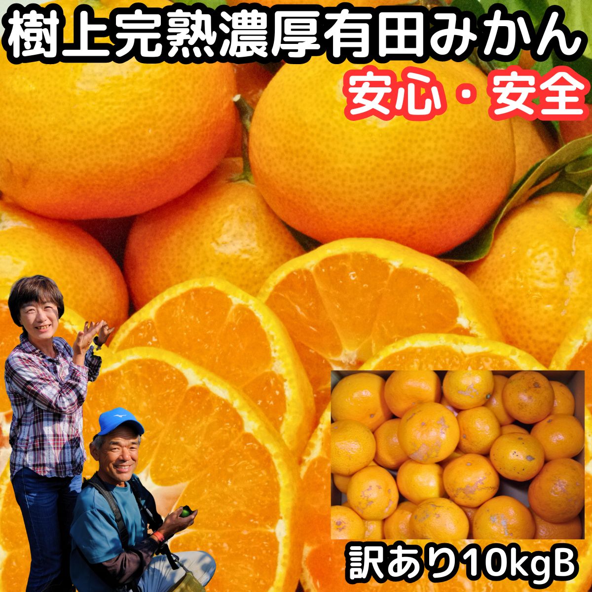 みかん 有田 訳あり 甘い 美味しい 糖度 10kg 2l～ss 和歌山 有田柑橘さんさん 樹上完熟 わけあり B品 早生 温州 有田みかん 訳アリ 家庭用 箱 買い ありたみかん 有田ミカン 農家直送 薄皮 お取り寄せ