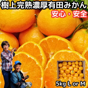 みかん 有田 甘い 美味しい 糖度 送料無料 和歌山 有田柑橘さんさん 樹上完熟 早生 温州 有田みかん 5kg l or m サイズ 秀品 お歳暮 贈答用 贈答品 ギフト 箱 買い ありたみかん 有田ミカン 農家直送 薄皮 お取り寄せ