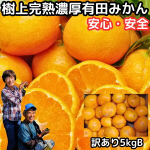 みかん 有田 訳あり 甘い 美味しい 糖度 送料無料 和歌山 有田柑橘さんさん 樹上完熟 わけあり B品 早生 温州 有田みかん 5kg 2l～ss 訳アリ 家庭用 箱 買い ありたみかん 有田ミカン 農家直送 薄皮 お取り寄せ