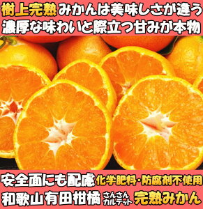 みかん 有田 甘い 糖度 送料無料 和歌山 有田柑橘さんさん 樹上完熟 早生 有田みかん 5kg l or m サイズ お歳暮 贈答用 贈答品 ギフト 箱 買い ありたみかん 有田ミカン