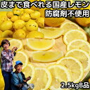 レモン 国産 訳あり ノーワックス 安心 防腐剤 不使用 2.5kg B品 皮まで食べれる 和歌山 有田さんさん リスボン 黄色