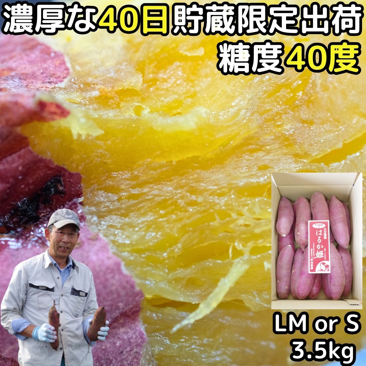 さつまいも 紅はるか 3.5kg l〜m or S サイズ 完熟 甘い 熟成 さつま芋 贈答用 御年賀 大分 芦刈農産 ねっとり 濃厚 サツマイモ べにはるか ギフト プレゼント ホクホク 箱入 焼きいも 送料無料