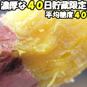 さつまいも 紅はるか 5kg 熟成 完熟 甘い 送料無料 大分 芦刈農産 ねっとり 濃厚 サツマイモ 蔵出し べにはるか l〜m サイズ 贈答用 ギフト ホクホク さつま芋 農家直送 箱入 2022 予約