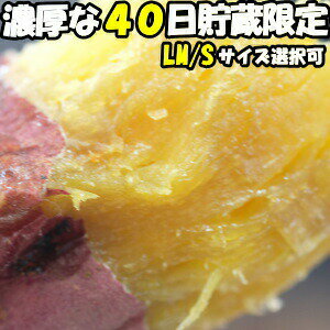 さつまいも 紅はるか 熟成 完熟 甘い 3.5kg 送料無料 大分 芦刈農産 ねっとり 濃厚 サツマイモ 蔵出し べにはるか l〜m サイズ 贈答用 ギフト ホクホク さつま芋 農家直送 箱入 2022 予約