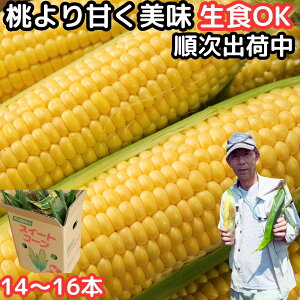 【出荷中】 とうもろこし 生で食べれる 甘い 朝どれ 大分産 三重町 芦刈農産 生トウモロコシ 14〜16本 約6kg お中元 早割 食べ物 食品 内祝 御中元 2023 送料無料 わくわくコーン どきどきコーン ゴールドラッシュ 黄色 バイカラ 6月 7月 8月