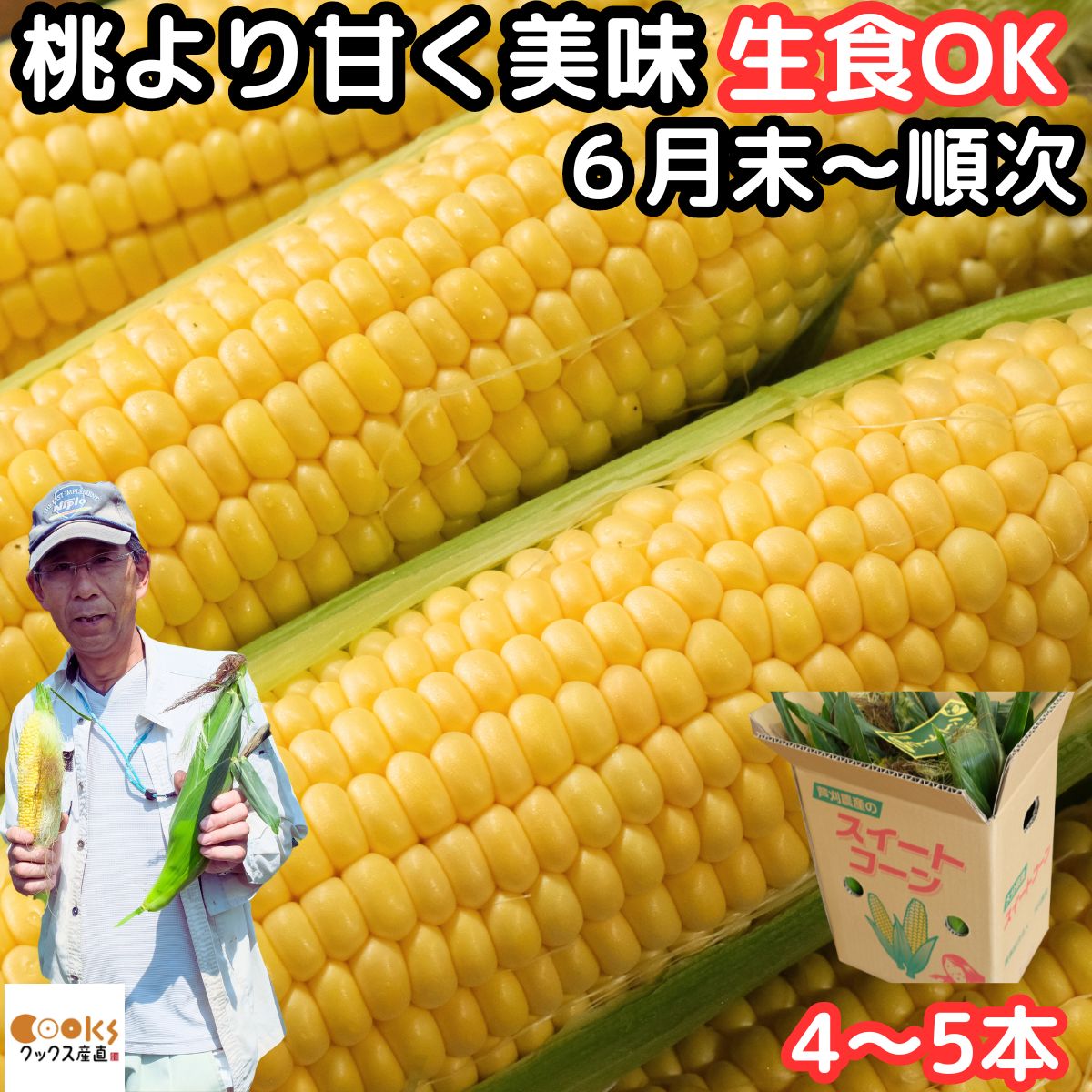 とうもろこし 生で食べれる 甘い 朝どれ お中元 早割 大分産 三重町 芦刈農産 生トウモロコシ 4～5本 食べ物 食品 内祝 御中元 2024 送料無料 わくわくコーン どきどきコーン ゴールドラッシュ 黄色 バイカラ 6月 7月 8月