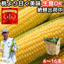 【絶賛出荷中】 とうもろこし 生で食べれる 甘い 朝どれ お中元 大分産 芦刈農産 生トウモロコシ 4-5本 10-13本 14-16本 食べ物 食品 内祝 御中元 2025 送料無料 わくわくコーン どきどきコーン ゴールドラッシュ 黄色 バイカラ 6月 7月 8月 出荷