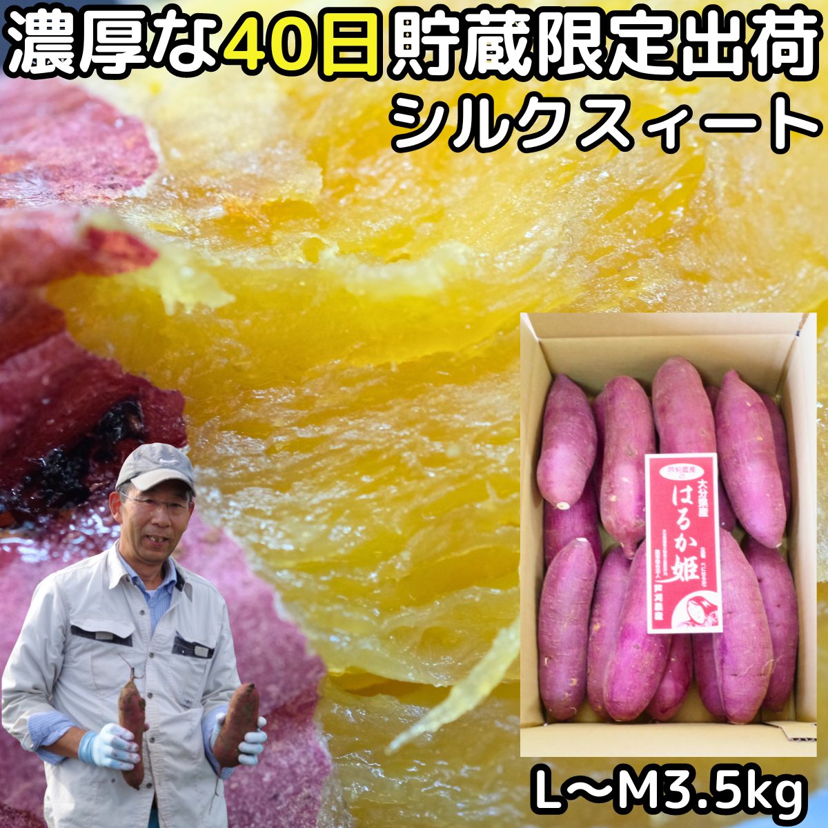 さつまいも シルクスイート 3.5kg l～m サイズ 熟成 完熟 甘い さつま芋 お歳暮 御年賀 贈答用 大分 芦刈農産 ホクホク 濃厚 サツマイモ ギフト 箱入 2023