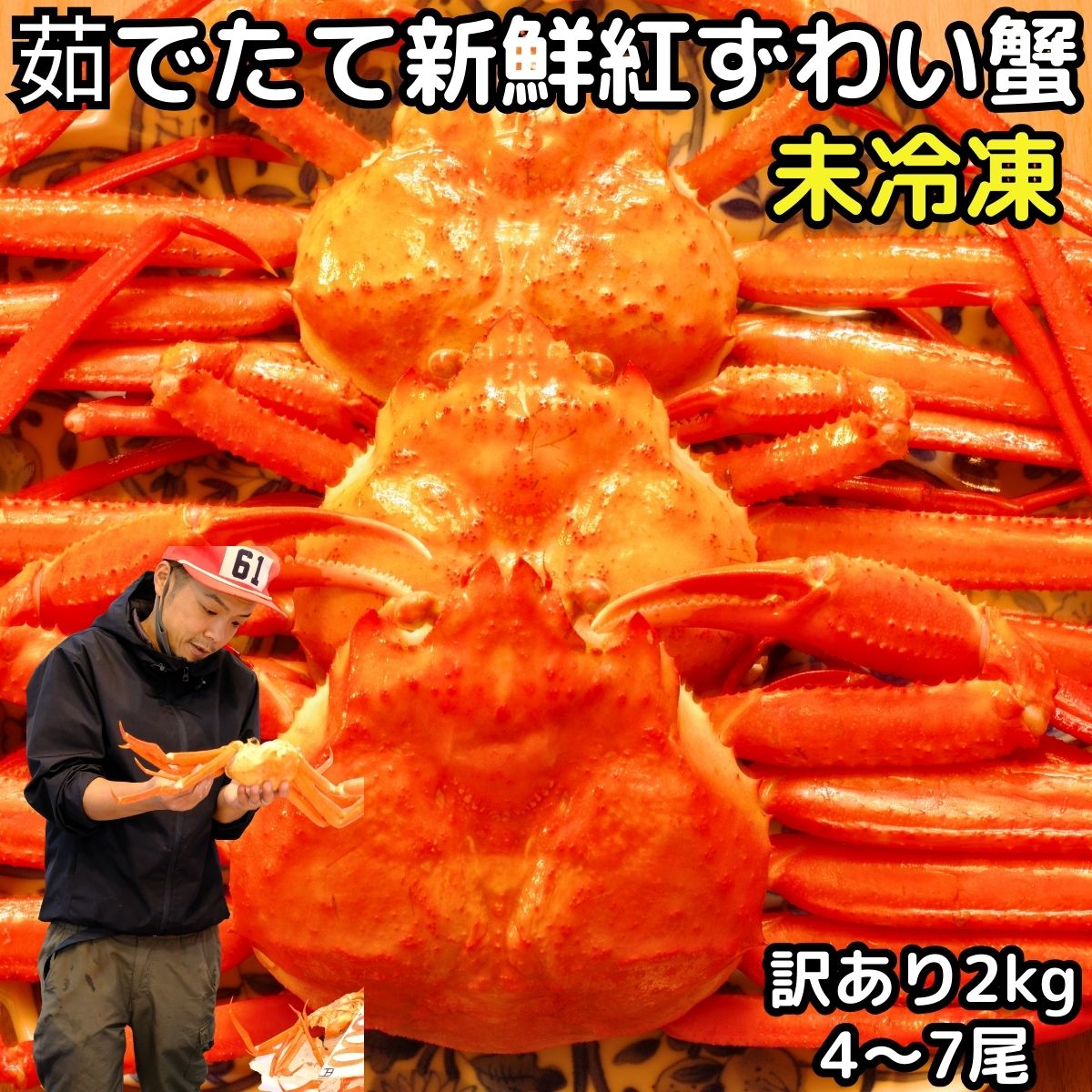 ズワイガニ カニ 訳あり 紅ずわいがに 約2kg 4～7尾 大～小混合 未冷凍 水揚げ当日出荷 甘みを感じる新鮮 ボイル 蟹 送料無料 国産 鳥取 境港 直送 かに 姿 茹で 生食用 わけあり 紅ずわい蟹 紅ずわいかに 紅ズワイガニ 紅ズワイカニ 紅ズワイ蟹