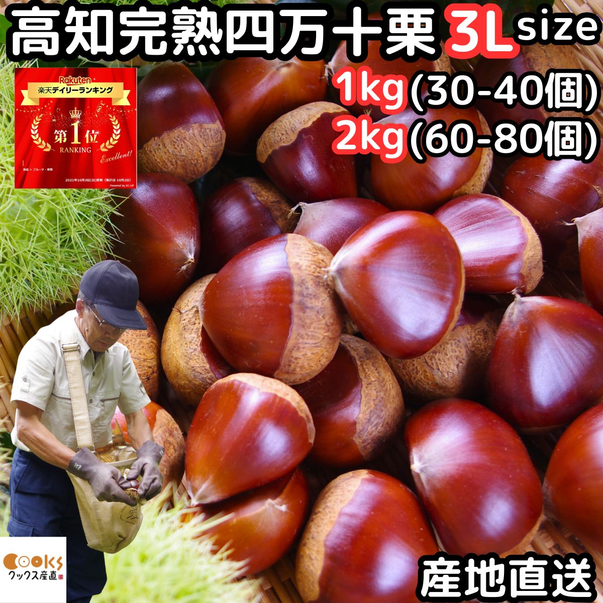 栗 予約 生栗 1キロ 3l 送料無料 高知 西土佐産 四万十栗 約1kg 3Lサイズ 約30〜40個 大粒 なまぐり なまくりのサムネイル