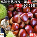 栗 生栗 送料無料 高知 西土佐産 四万十栗 1kg 4Lサイズ 約20〜28個 なまぐり なまくり