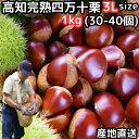 栗 予約 生栗 1キロ 3l 送料無料 高知 西土佐産 四万十栗 約1kg 3Lサイズ 約30～40 ...