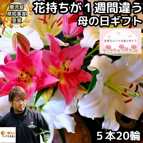 花持ちが1週間違う 鹿児島県知事賞受賞花 大輪の花が最後の1輪まで綺...