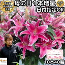 花 ユリ 母の日 花束 大輪 ギフト ピンク 10本 40輪 鹿児島県知事賞受賞 国産 誕生日 プレゼント ゴージャス お祝い 送料無料 花持ちが1週間違う 大きい 花 農家 直送 生花 百合 旬のゆり MIX フラワー 配達 結婚記念日 退院祝い 御祝 お供え にも人気 2024