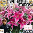 ユリ 花 ユリ 母の日 花束 大輪 ギフト ピンク 5本 20輪 鹿児島県知事賞受賞 国産 誕生日 プレゼント ゴージャス お祝い 送料無料 花持ちが1週間違う 大きい 花 農家 直送 生花 百合 旬のゆり MIX フラワー 配達 結婚記念日 退院祝い 御祝 お供え にも人気 2024