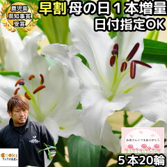 https://thumbnail.image.rakuten.co.jp/@0_mall/cooksanchoku/cabinet/flower2018/km-white5-mk8.jpg