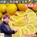 レモン 国産 訳あり ノーワックス 安心 防腐剤 不使用 3kg AB品 混合 皮まで食べれる 和歌 ...