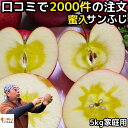 りんご 蜜入り サンふじ 5kg 11〜23玉 口コミ2000件 噂の 蜜入りりんご サンフジ 長野 信州 原田農園 訳あり 家庭用 送料無料