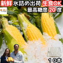 とうもろこし 北海道 氷詰め 2L-L 10本 甘い 生食OK 最高糖度20度 ギフト 生で食べれる ベジタブルワークス 恵味 めぐみ プレゼント トウモロコシ 食品 食べ物 内祝 2025 8月 9月
