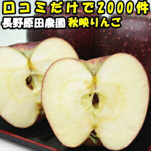 りんご 秋映 5kg 11～23玉 家庭用 訳あり 口コミ2000件 噂のりんご 第3弾 糖度14～15度 あきばえ 長野 信州 原田農園 送料無料 もぎたて 林檎 予約 産直 農家 直送 信州 リンゴ