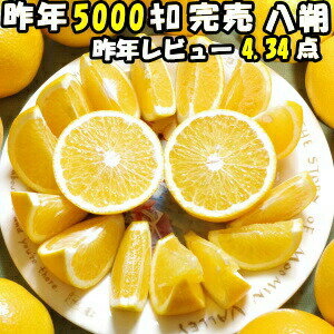 はっさく 10kg 送料無料 訳あり 八朔 和歌山 10kg Sサイズ 約45～60玉入 秀/優混合