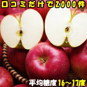 シナノスイート りんご 予約 口コミ2000件 噂のりんご　第2弾 糖度16〜17度 シナノスィート 長野 信州 原田農園 3kg 6〜12玉 訳あり 家庭用 送料無料