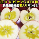 りんご 蜜入り サンふじ 口コミ2000件 噂の 蜜入りりんご サンフジ 長野 信州 原田農園 10 ...