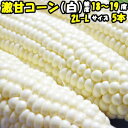 とうもろこし ピュアホワイト 生で食べれる 白いとうもろこし...