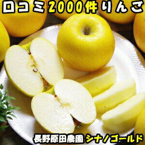 りんご シナノゴールド 送料無料 長野 訳あり 口コミ2000件 噂のりんご 第4弾 糖度14〜15度　長野県 信州 原田農園 シナノゴールド 3kg 6〜12玉 家庭用