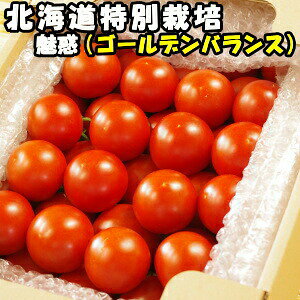 魅惑のゴールデンバランス！北海道三栄アグリ特別栽培認定フルーツトマト（アグリオーレ2kg贈答用