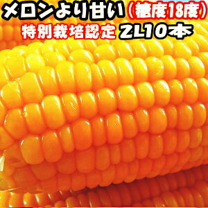 とうもろこし 北海道 甘い メロンより甘い 安心の特別栽培認定 朝どれ 生で食べれる トウモロコシ 平均糖度18度 夢のコーン わくわくコーン 2L〜L サイズ 10本入 北海道 三栄アグリ 送料無料