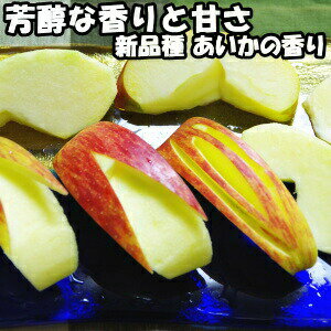 芳醇な香り！濃厚な甘さ！新品種！山形太田農園完熟蜜入りあいかの香り5kg10〜16玉家庭用 りんご リンゴ りんご 蜜入り りんご 蜜入りりんご 蜜入りリンゴ 蜜入りりんご りんご 蜜入り お歳暮 蜜入りりんご 送料無料 りんご 5kg 送料無料
