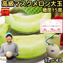 熊本県産 JAやつしろ他 肥後グリーンメロン 優品以上 超盛り 8キロ (約2キロ×4玉) めろん 市場スポット 送料無料